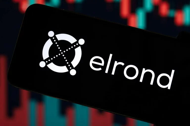 Elrond A High-Performance Blockchain Platform